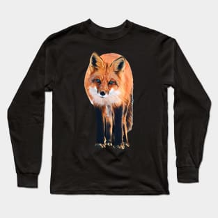 Fox - Woodland Themed Kids Room, Funny Gifts For Forester, Cute Animals Long Sleeve T-Shirt